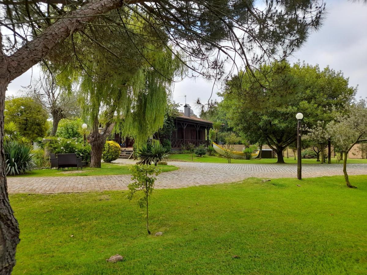 Villa Quinta Do Bosque à Vagos Extérieur photo